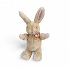 And The Little Dog Laughed Winnie Rabbit