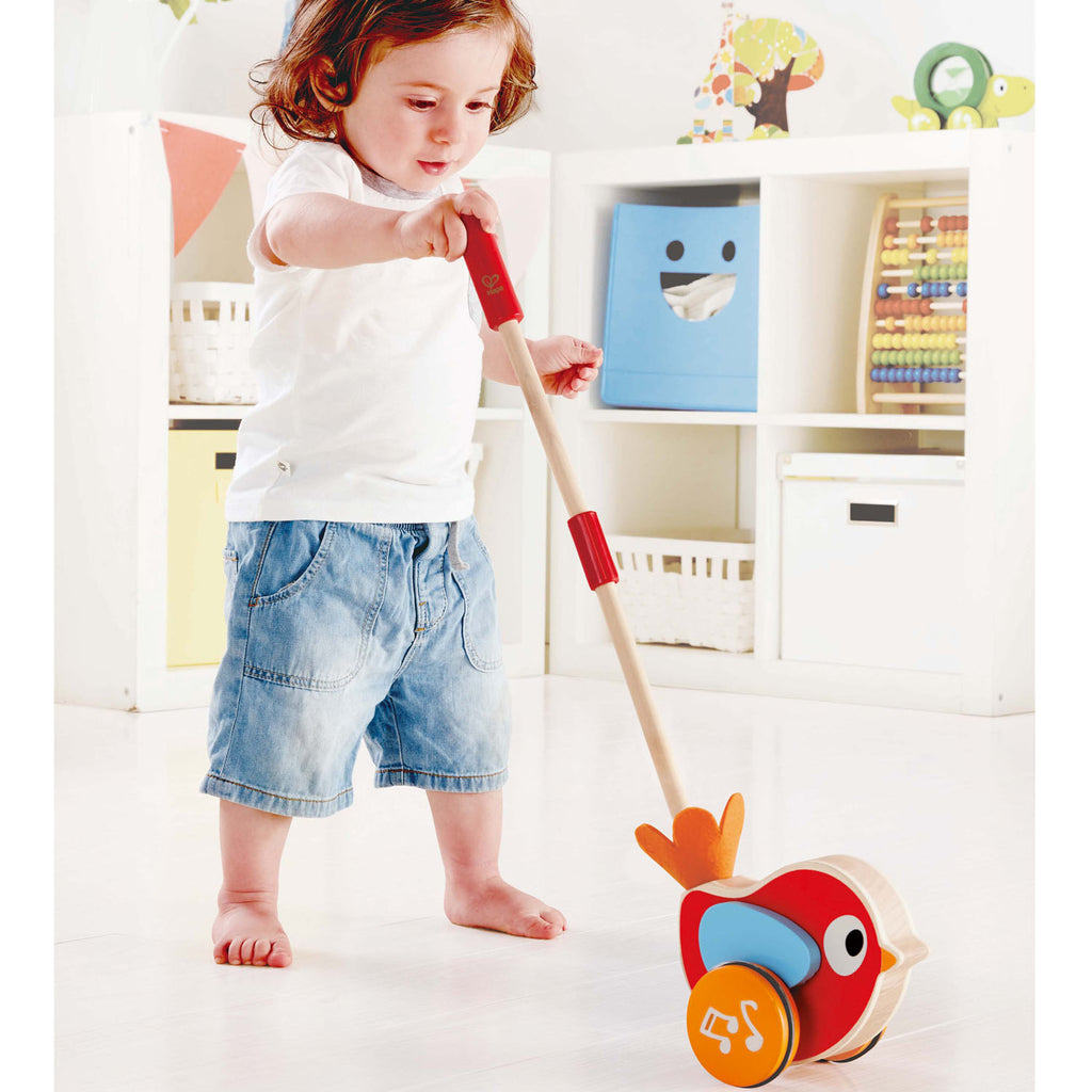 hape lilly musical push along bird