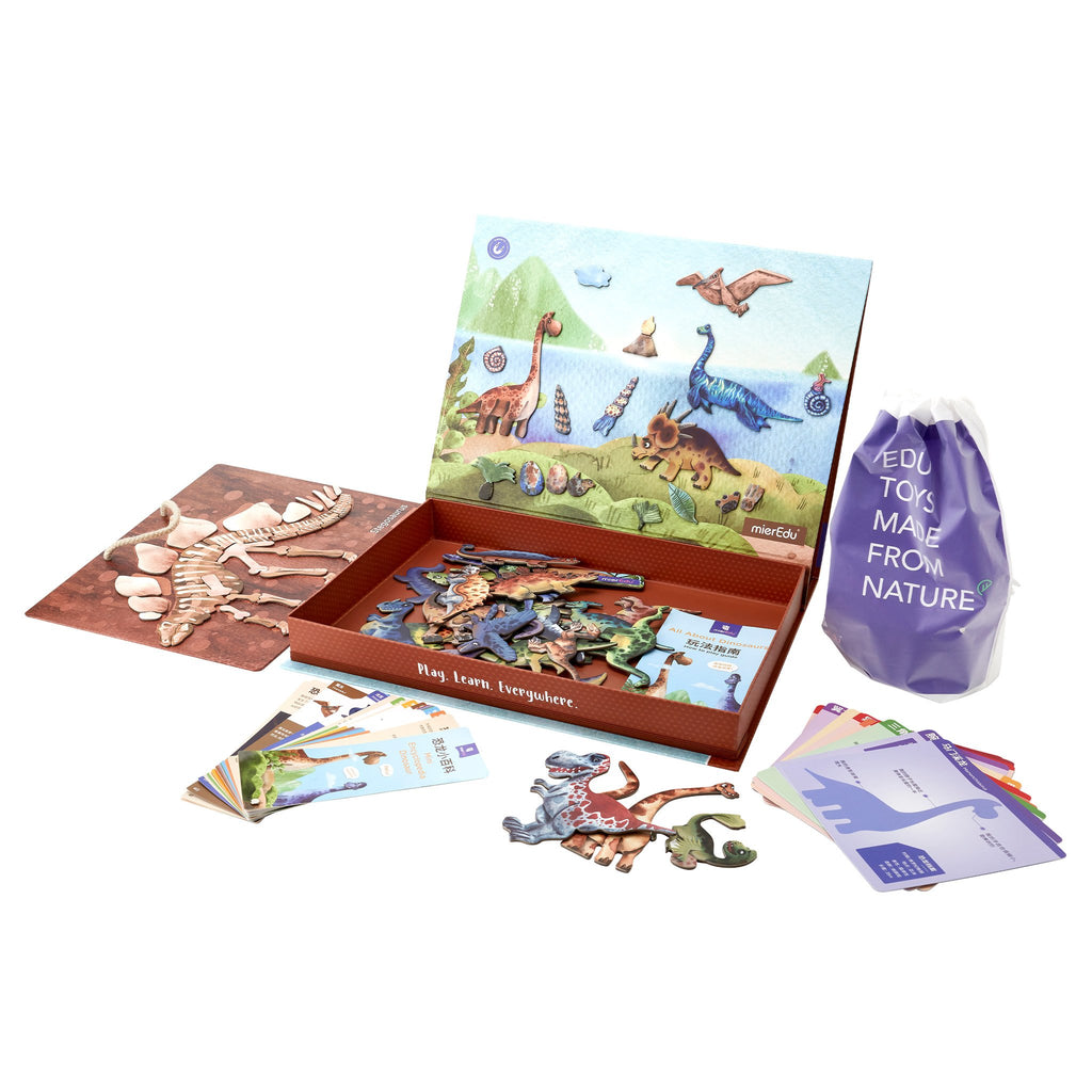 mieredu magnetic set all about dinosaurs