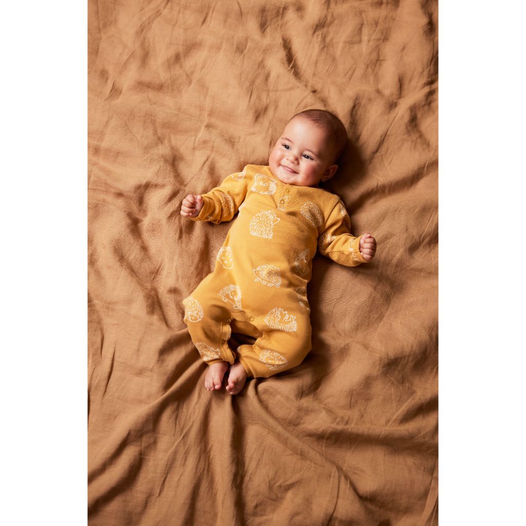 Nature Baby Organic Cotton Henley PJ Suit (Happy Hedgehog Sleepwear Print)
