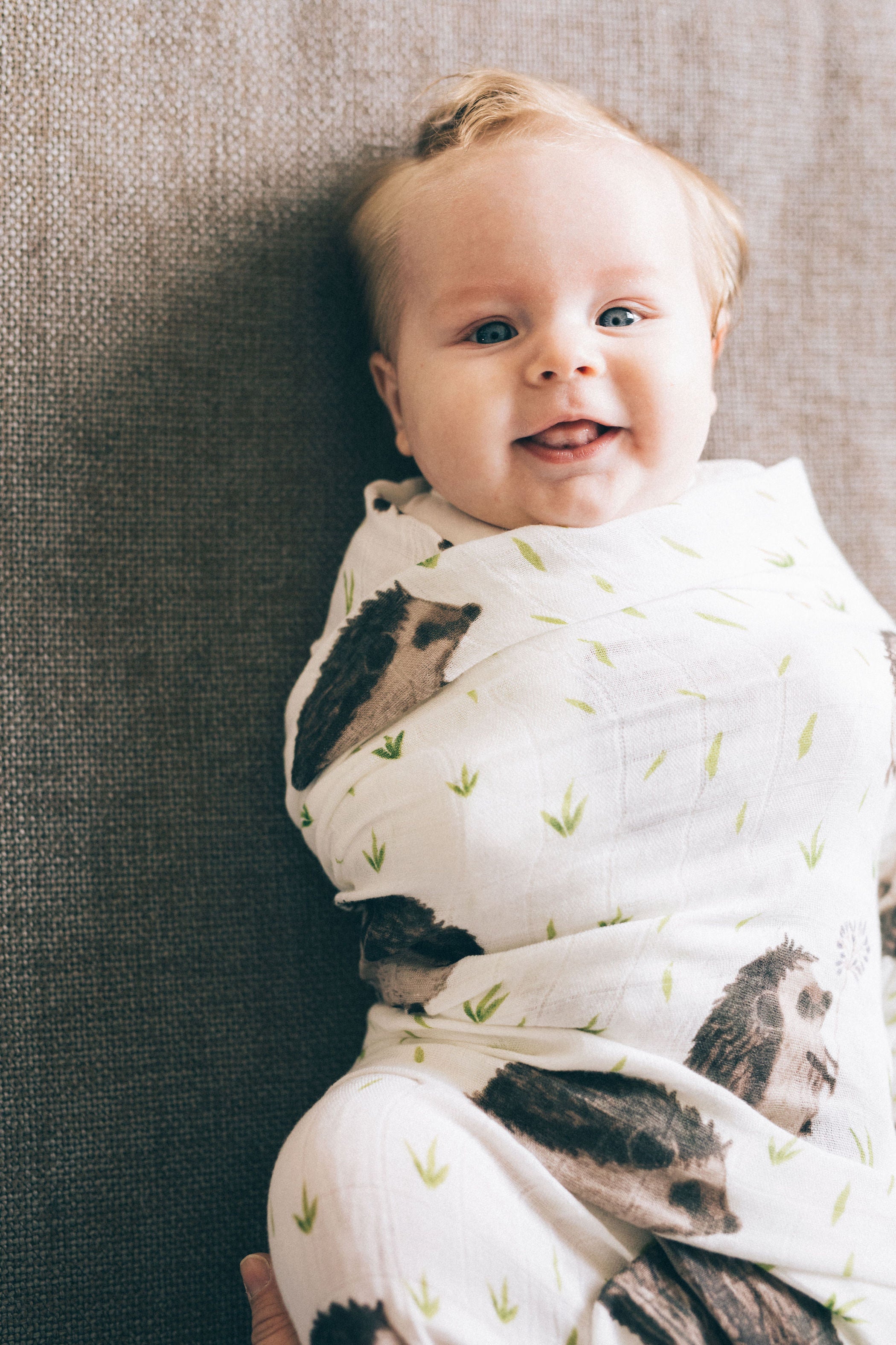little unicorn deluxe muslin swaddle in hedgehog