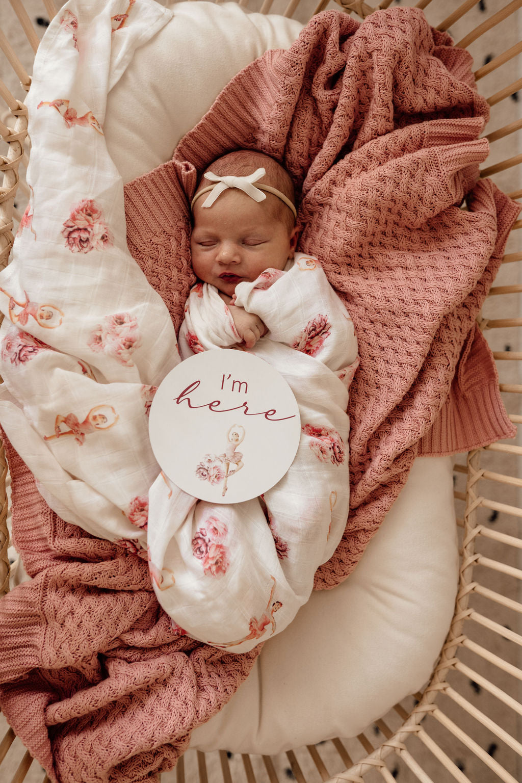 snugglehunny milestone cards in ballerina & rosa