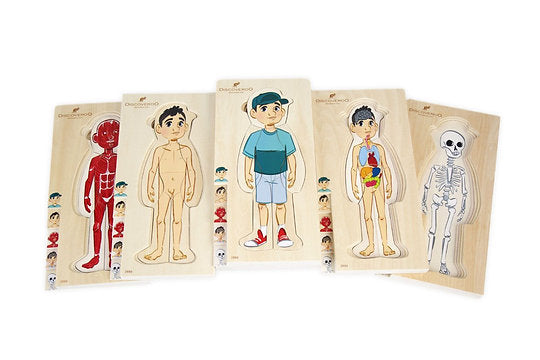 Discoveroo 5 Layer Body Puzzle (Boy)