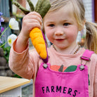 tara treasures felt play food