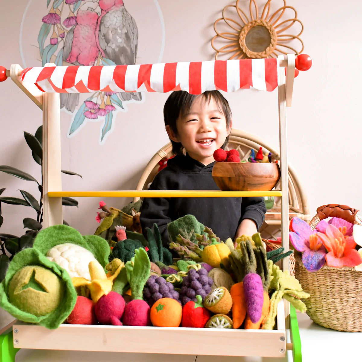 tara treasures felt play food