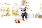hape butterfly toy