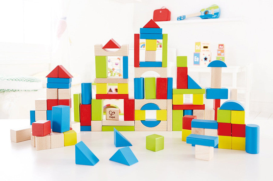 hape 100 piece beech blocks