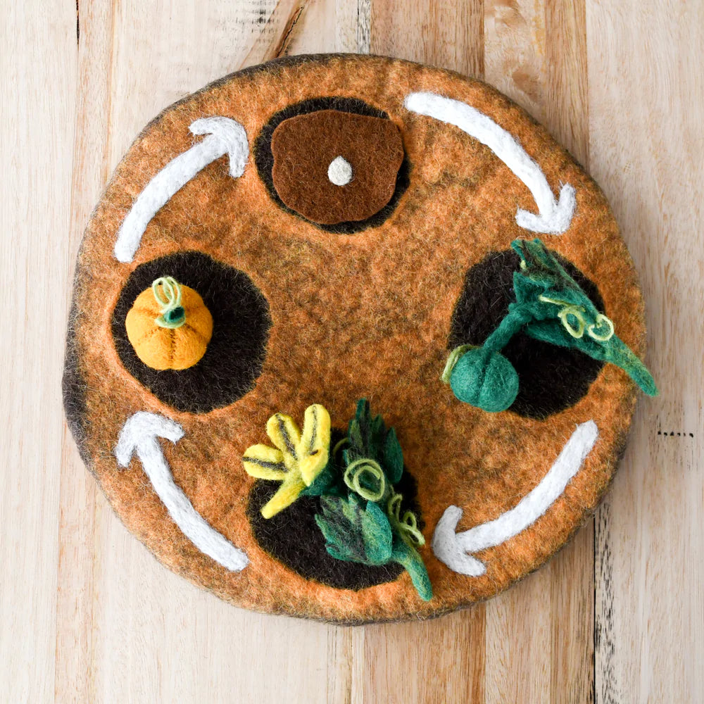 Tara Treasures Felt Life Cycle Tray Playmat (Earth)