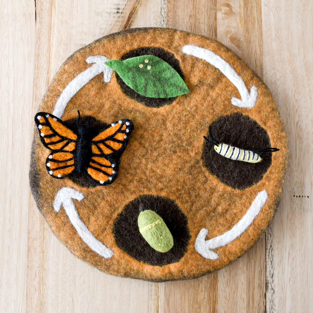 Tara Treasures Felt Life Cycle Tray Playmat (Earth)