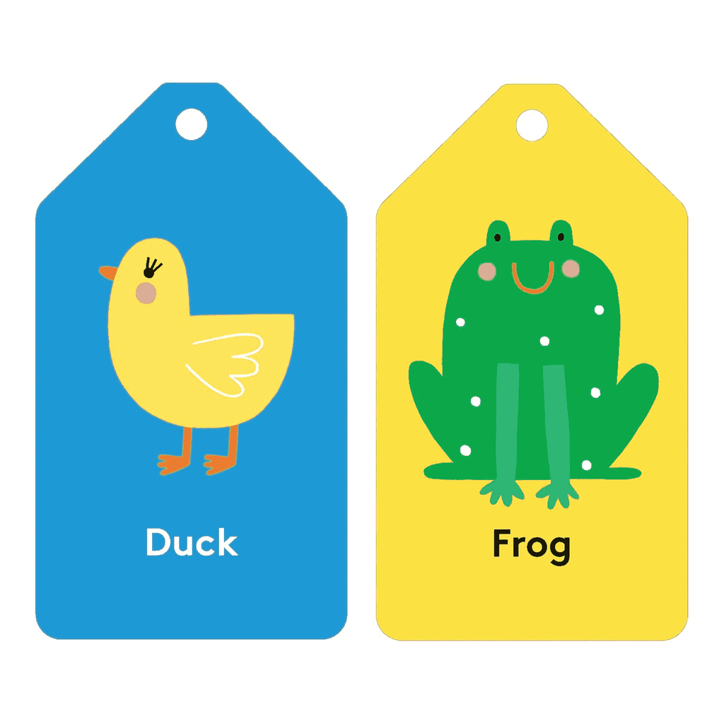 mudpuppy flash cards first words