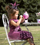 Dantoy Pink Tea Set