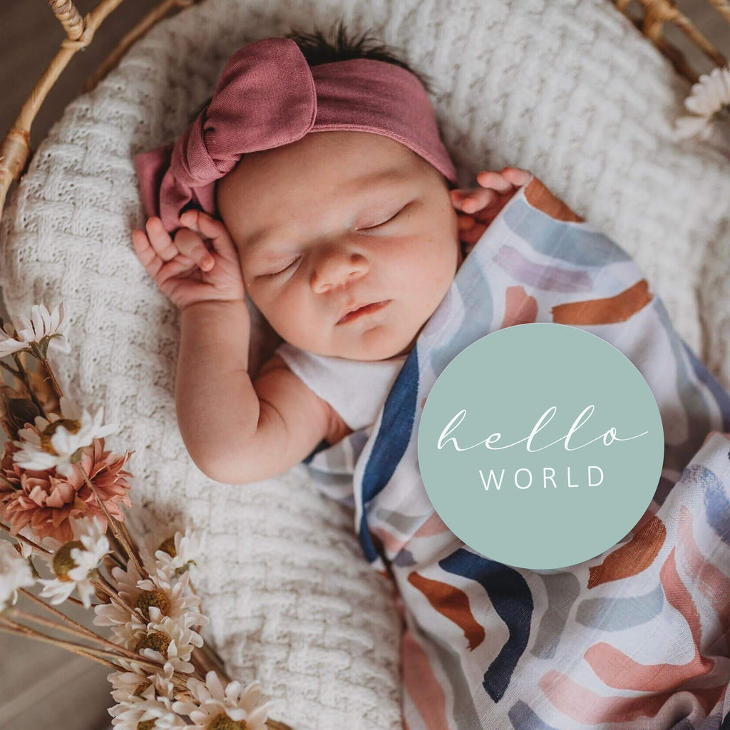 snuggle hunny kids milestone cards in rainbow & sage