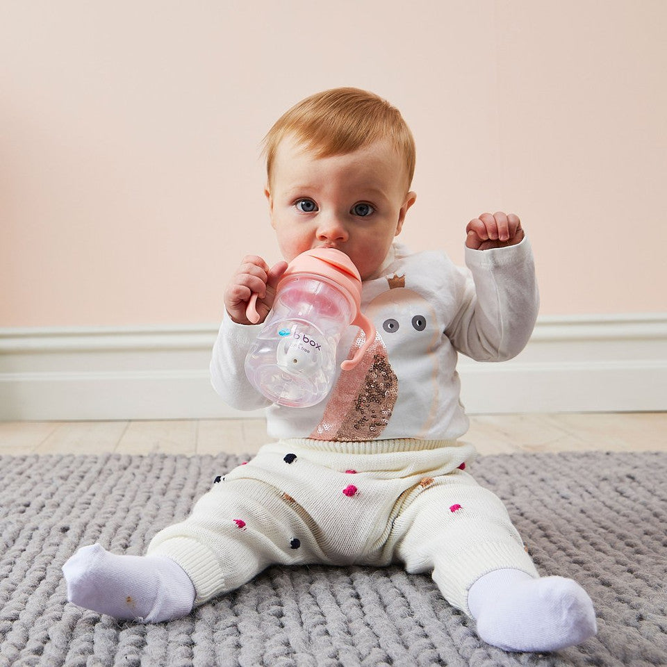b.box Sippy Cup V2 (Tutti Frutti)